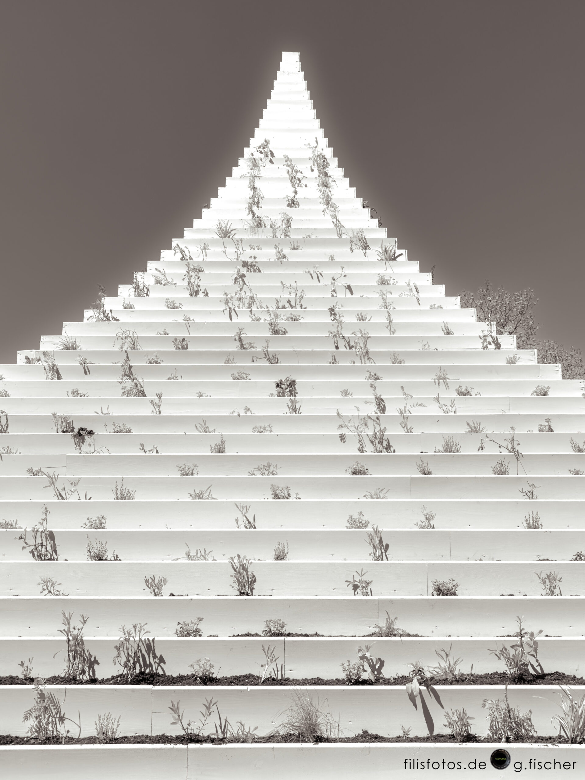 Weed and stairs to heaven