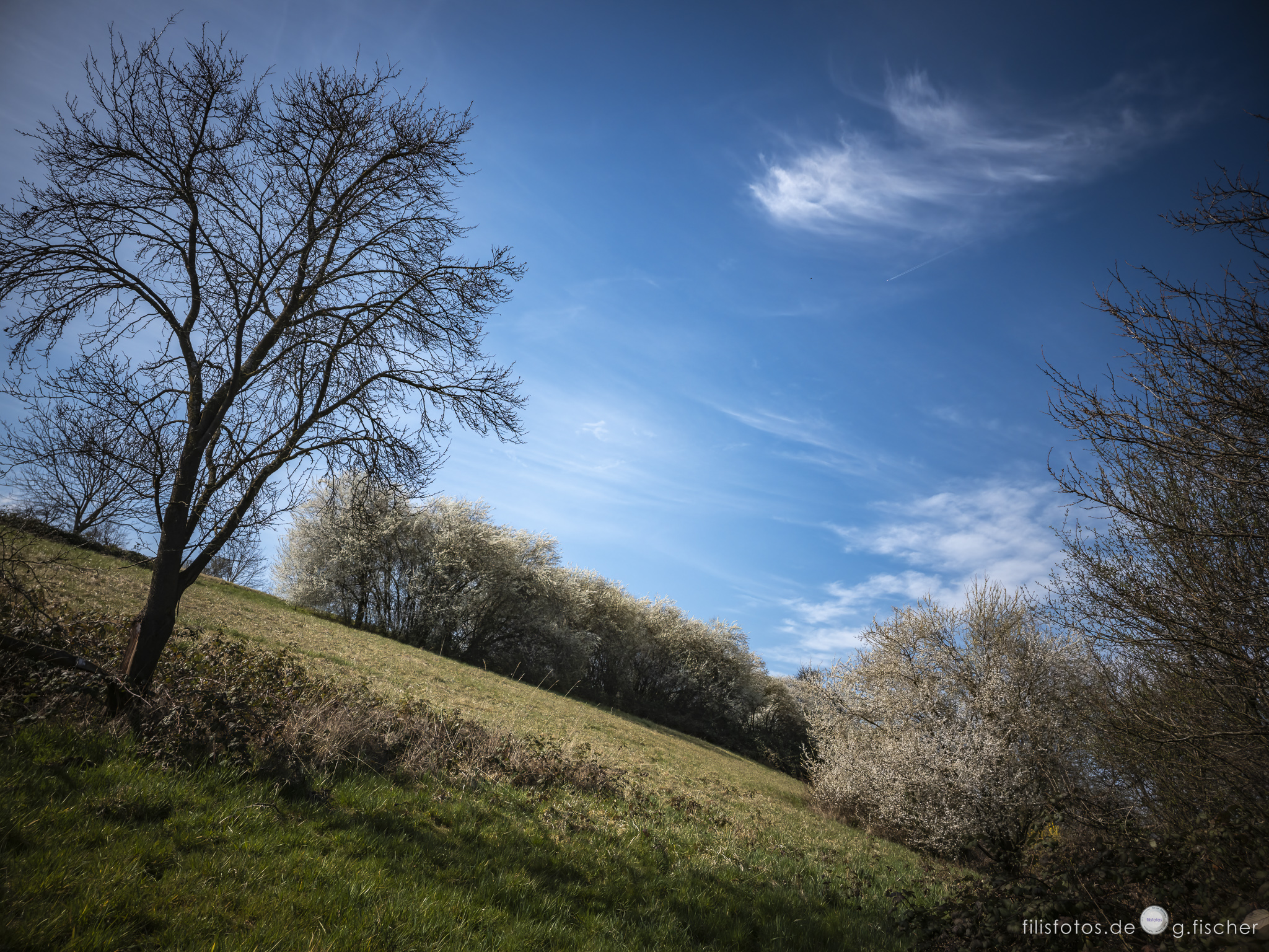 Am Hang | On a slope