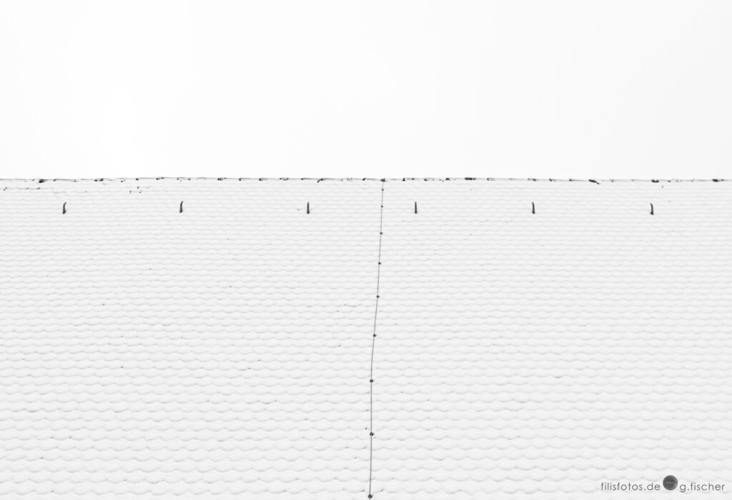 Snow minimalism| filisfotos.de