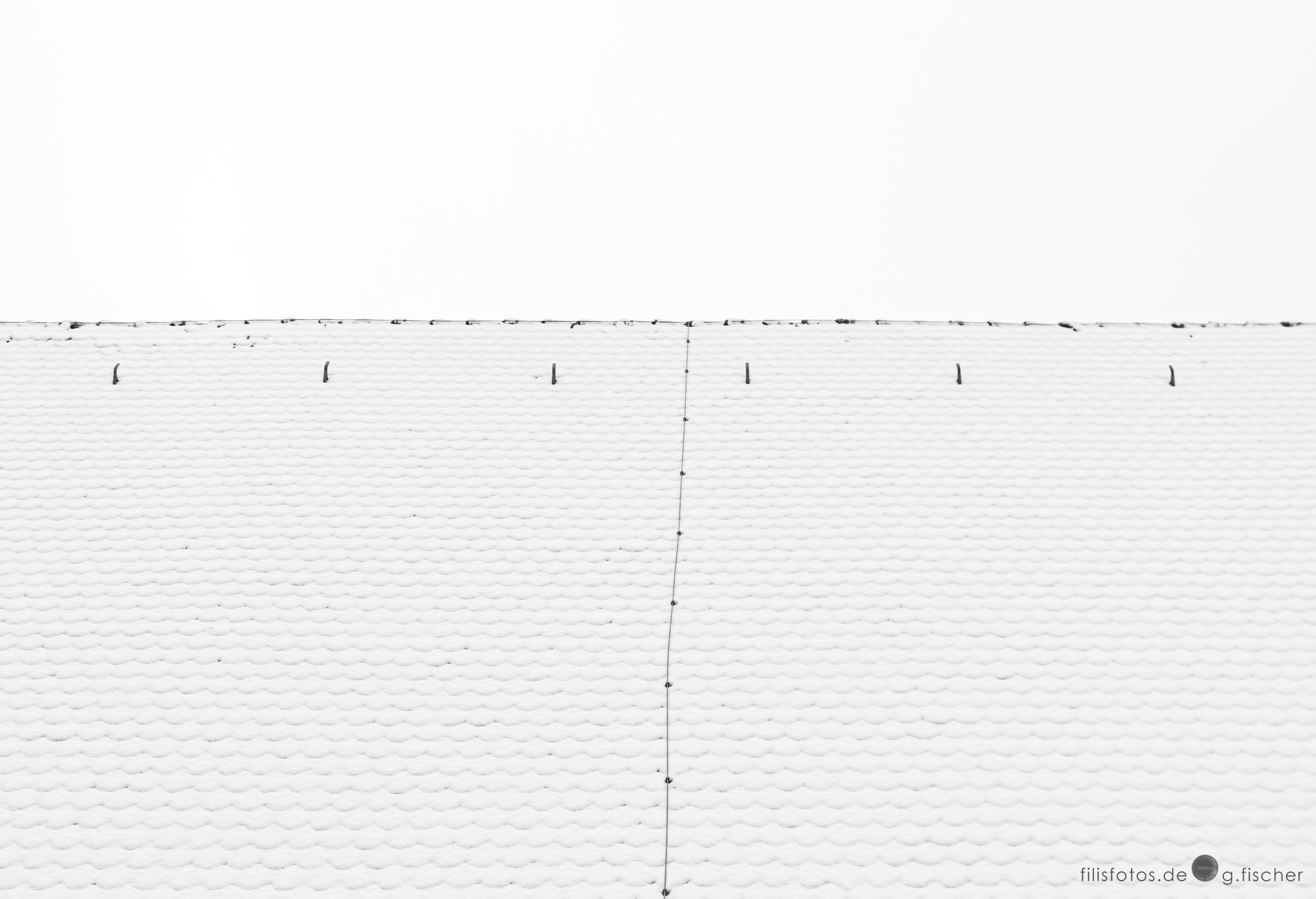 Snow minimalism| filisfotos.de