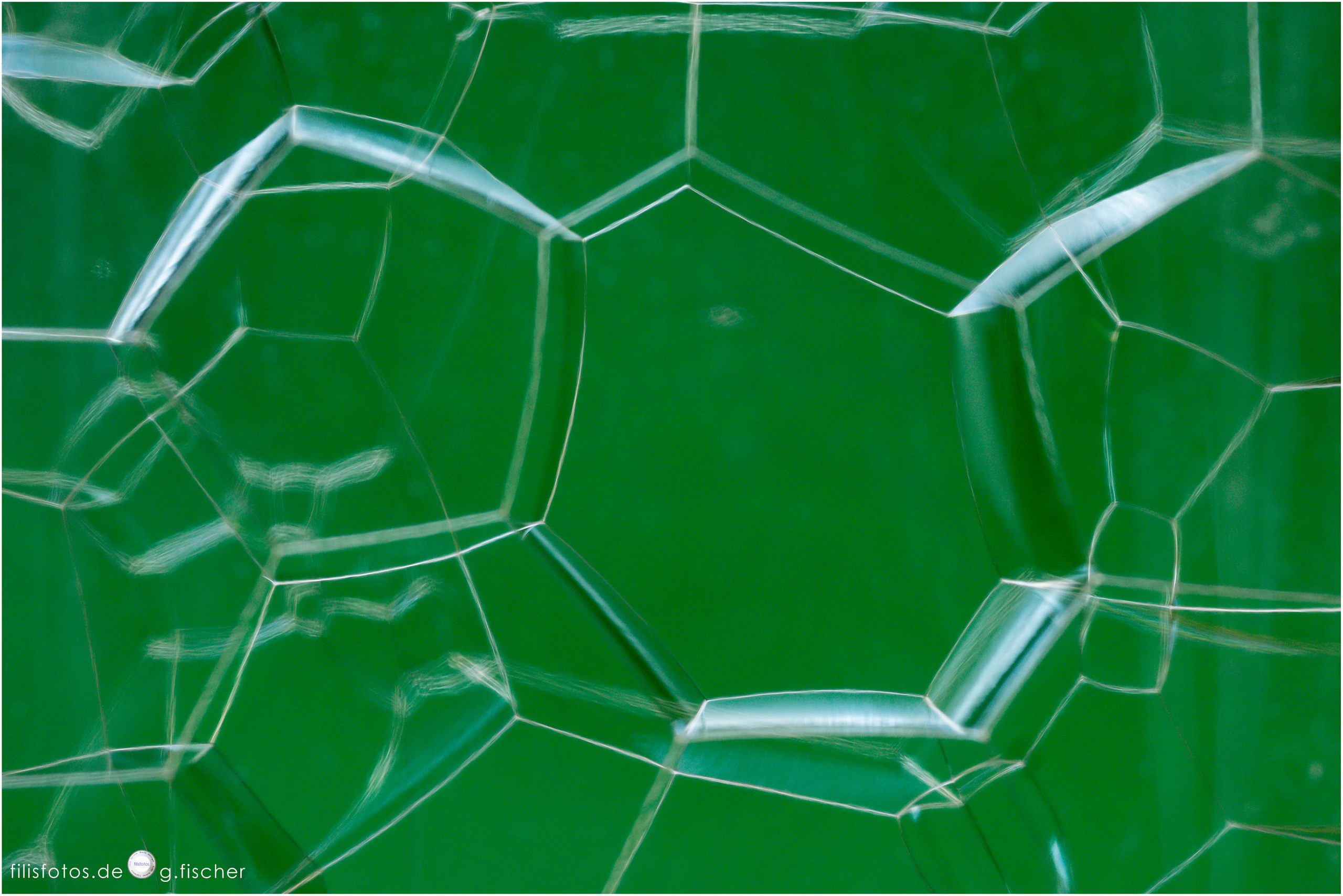 The web