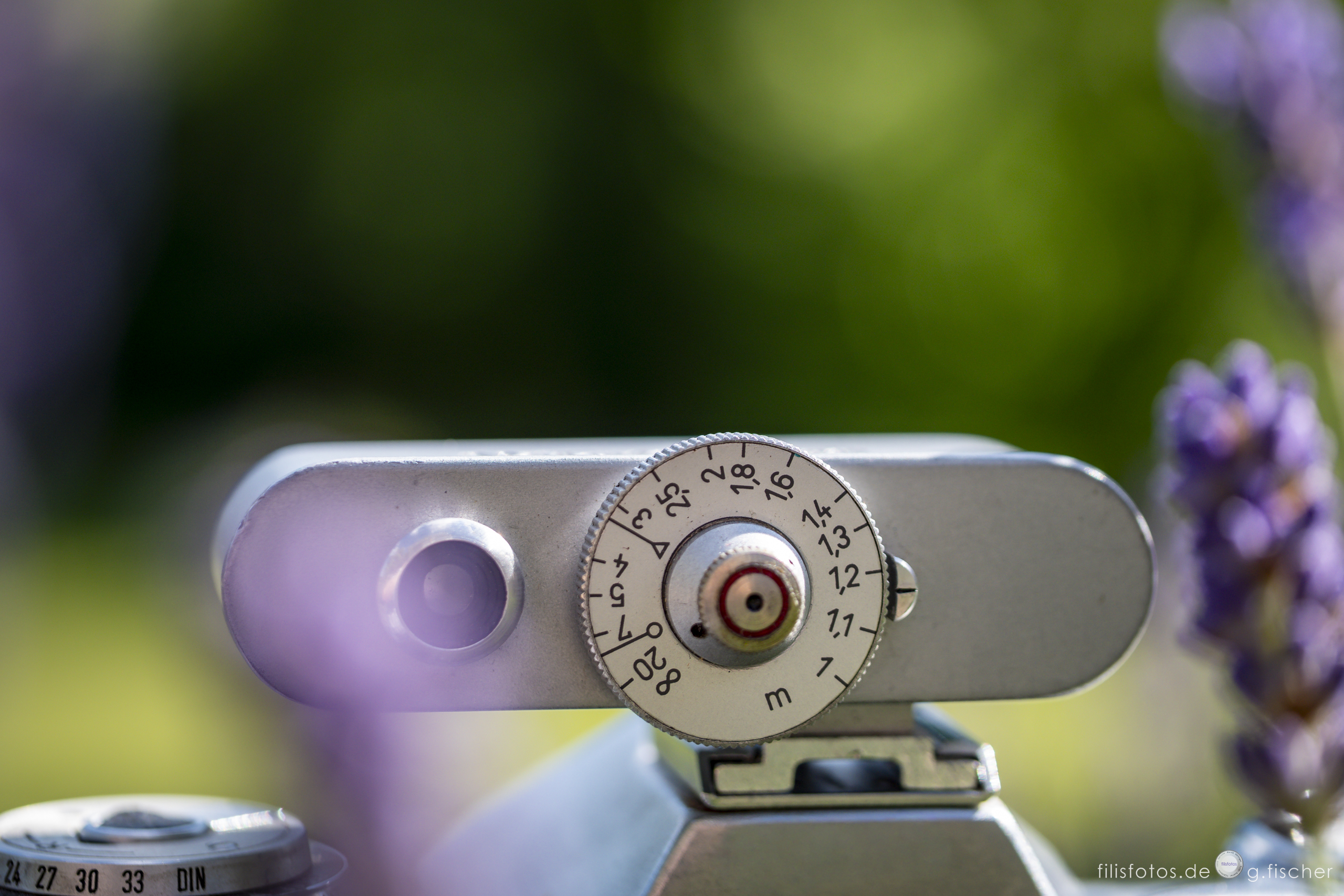 Aperture + distance: bokeh | filisfotos.de
